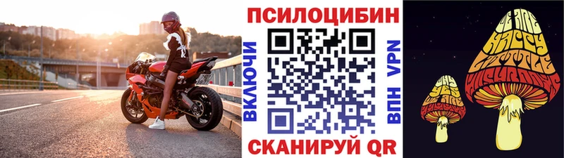 Псилоцибиновые грибы Psilocybe  Воткинск 