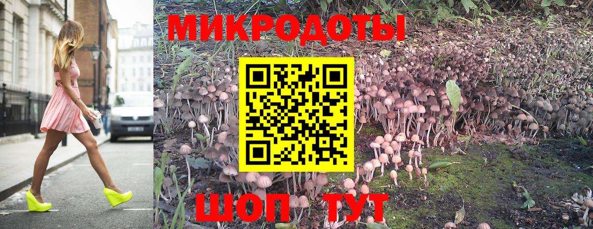 Псилоцибиновые грибы GOLDEN TEACHER Воткинск