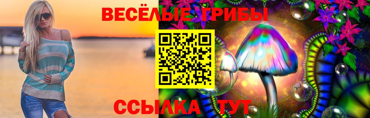 Псилоцибиновые грибы GOLDEN TEACHER  Воткинск 